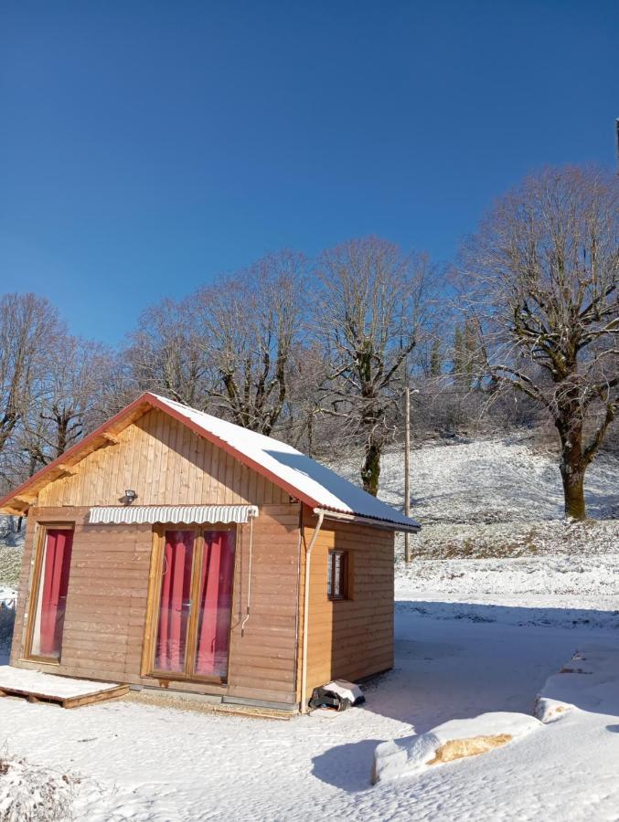 La P'Tite Maison Bois Du Herisson Menetrux-en-Joux Exteriör bild