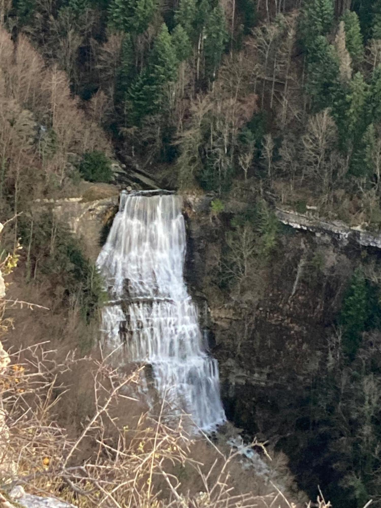 La P'Tite Maison Bois Du Herisson Menetrux-en-Joux Exteriör bild